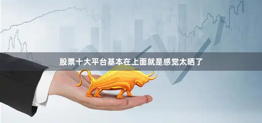 股票十大平台基本在上面就是感觉太晒了