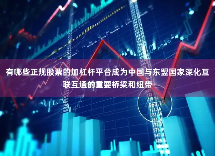 有哪些正规股票的加杠杆平台成为中国与东盟国家深化互联互通的重要桥梁和纽带