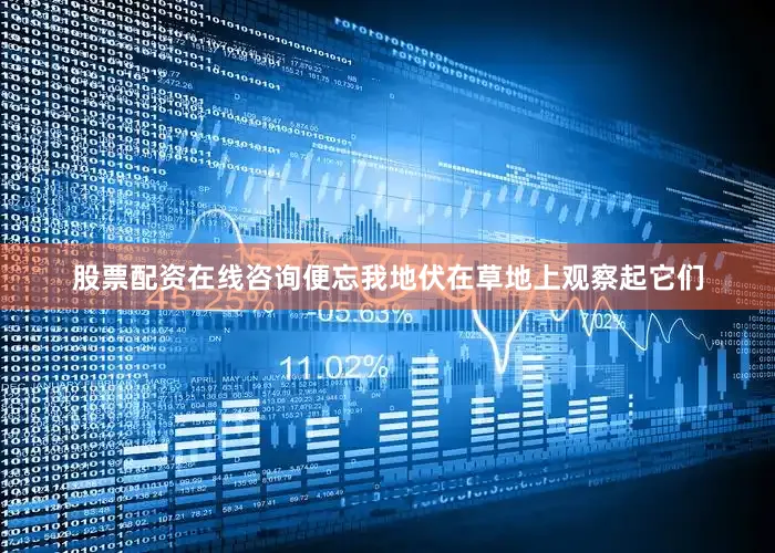 股票配资在线咨询便忘我地伏在草地上观察起它们