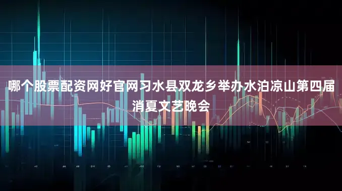 哪个股票配资网好官网习水县双龙乡举办水泊凉山第四届消夏文艺晚会