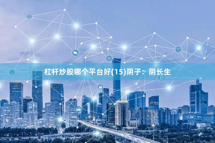 杠杆炒股哪个平台好(15)　阴子：阴长生